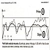 documento completo su file PDF