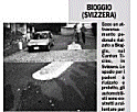 Clic per ingrandire, BIOGGIO